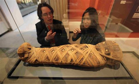 The Eternal Consequences: The Fate of Those Who Disturb Mummified Remains